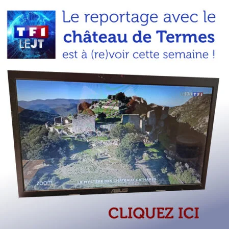 Termes reportage TF1 8 decembre 2024