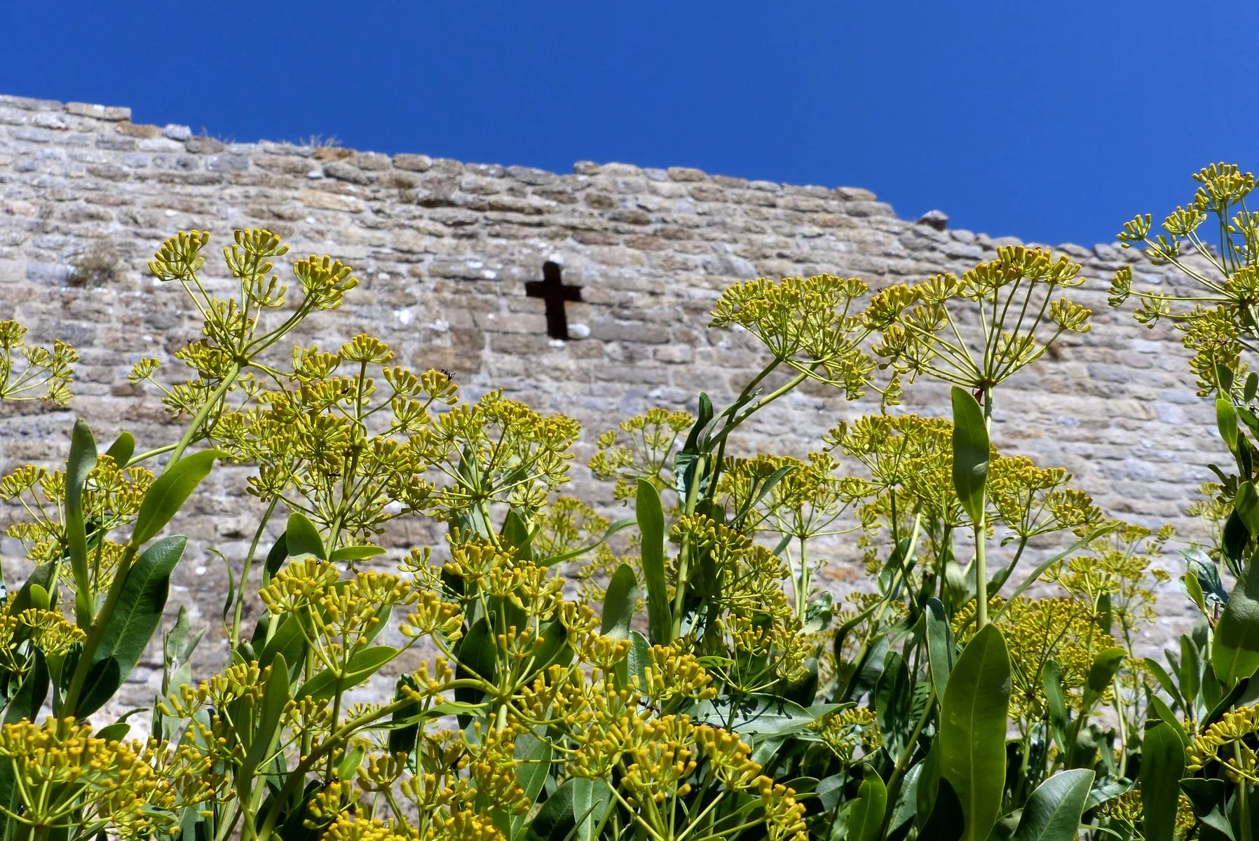 Vue aérienne Termes château fouilles et travaux Vue aérienne drone Termes château cathare