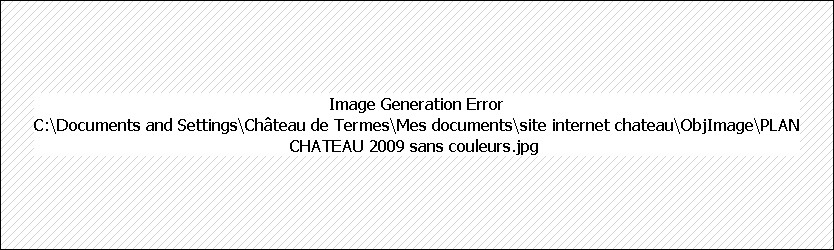 Plan du château de Termes
