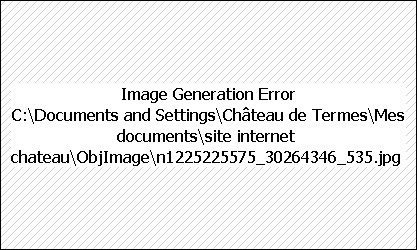 Château de Termes, pays cathare